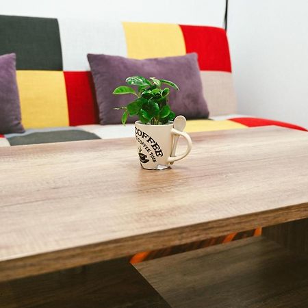 Cozy Apartment Brasov Ngoại thất bức ảnh
