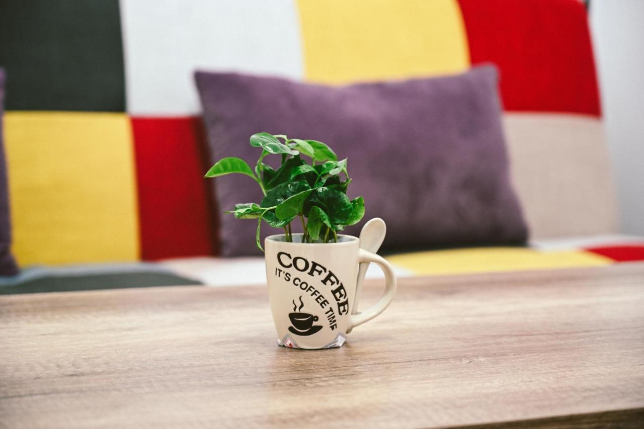 Cozy Apartment Brasov Ngoại thất bức ảnh